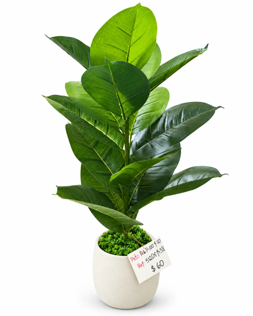 PLANTA EN VARA DE CAUCHO VERDE 75 CM