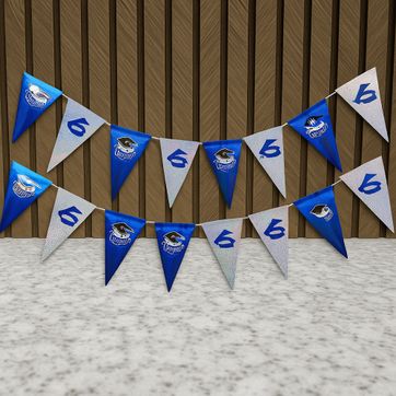 Imagen del producto BANDERÍN DE GRADO