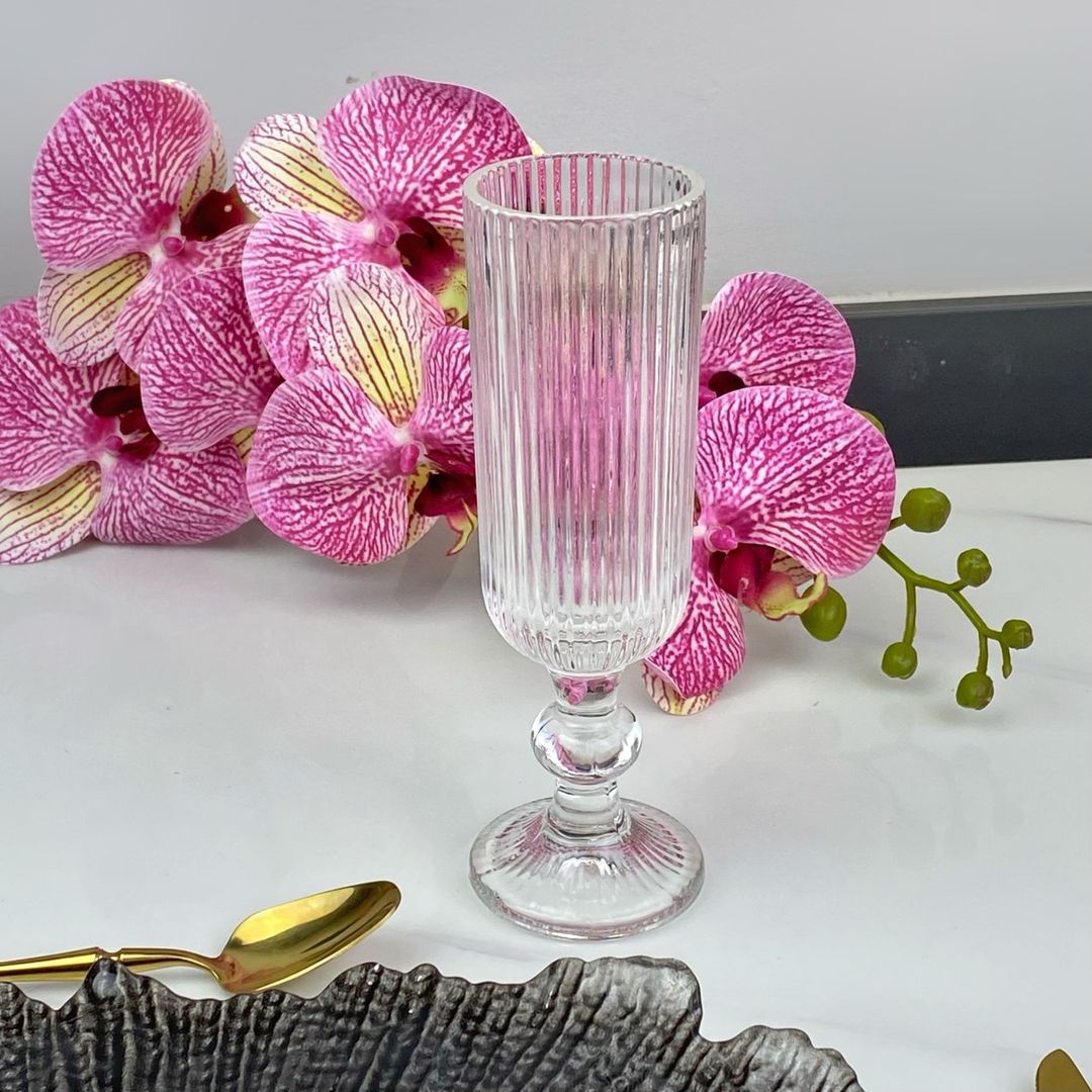 COPA RAYAS TRANSPARENTE