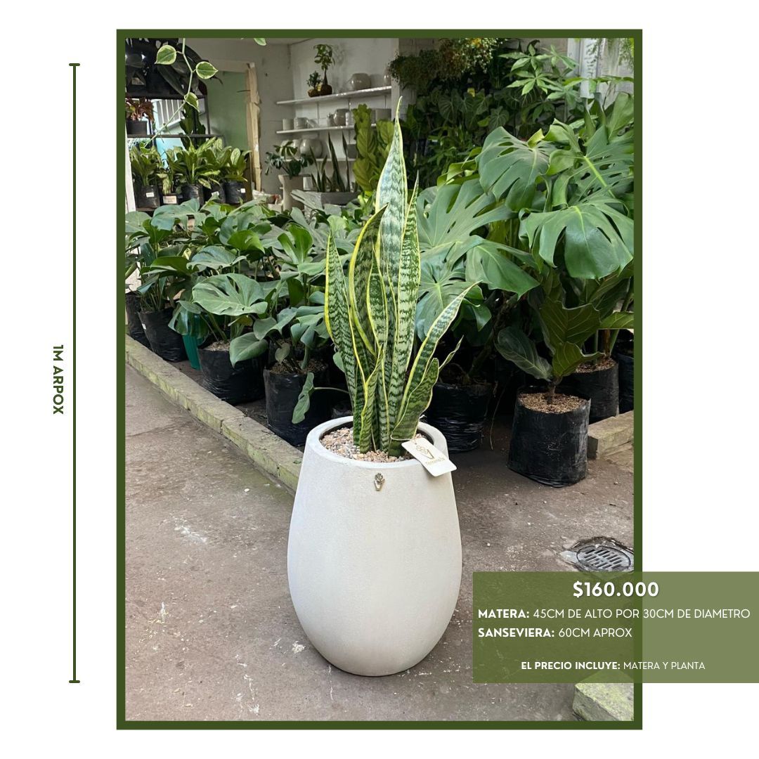 PROMO ELIGE TU FAVORITA