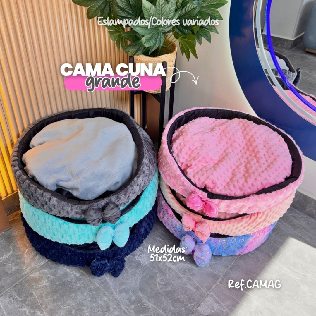 CAMAG