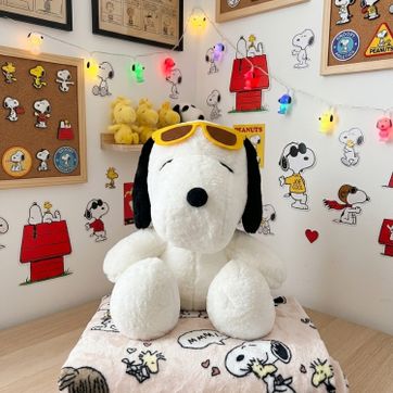 Imagen del producto Peluche con cobija snoopy 