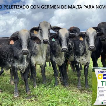 HENO PELETIZADO CON GERMEN DE MALTA PARA NOVILLAS - imagen 1