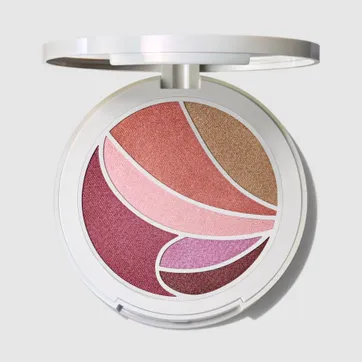 MAC METAMORPHOSIS FACE AND EYE PALETTE - imagen 1