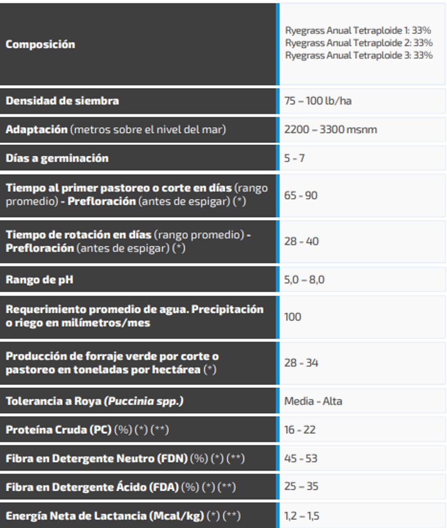 Tetrablend 444 x Kilo