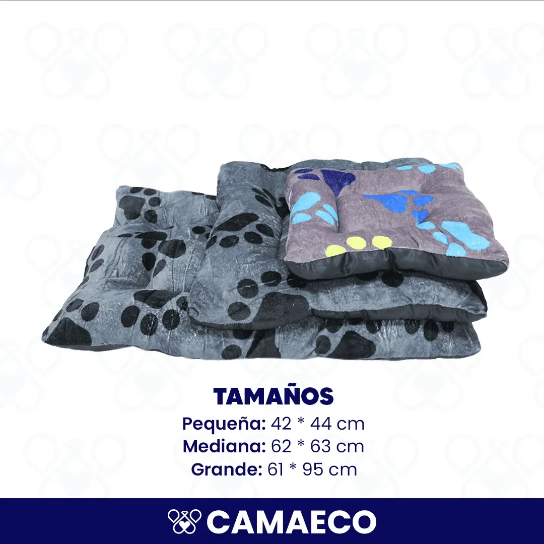 CAMAECO