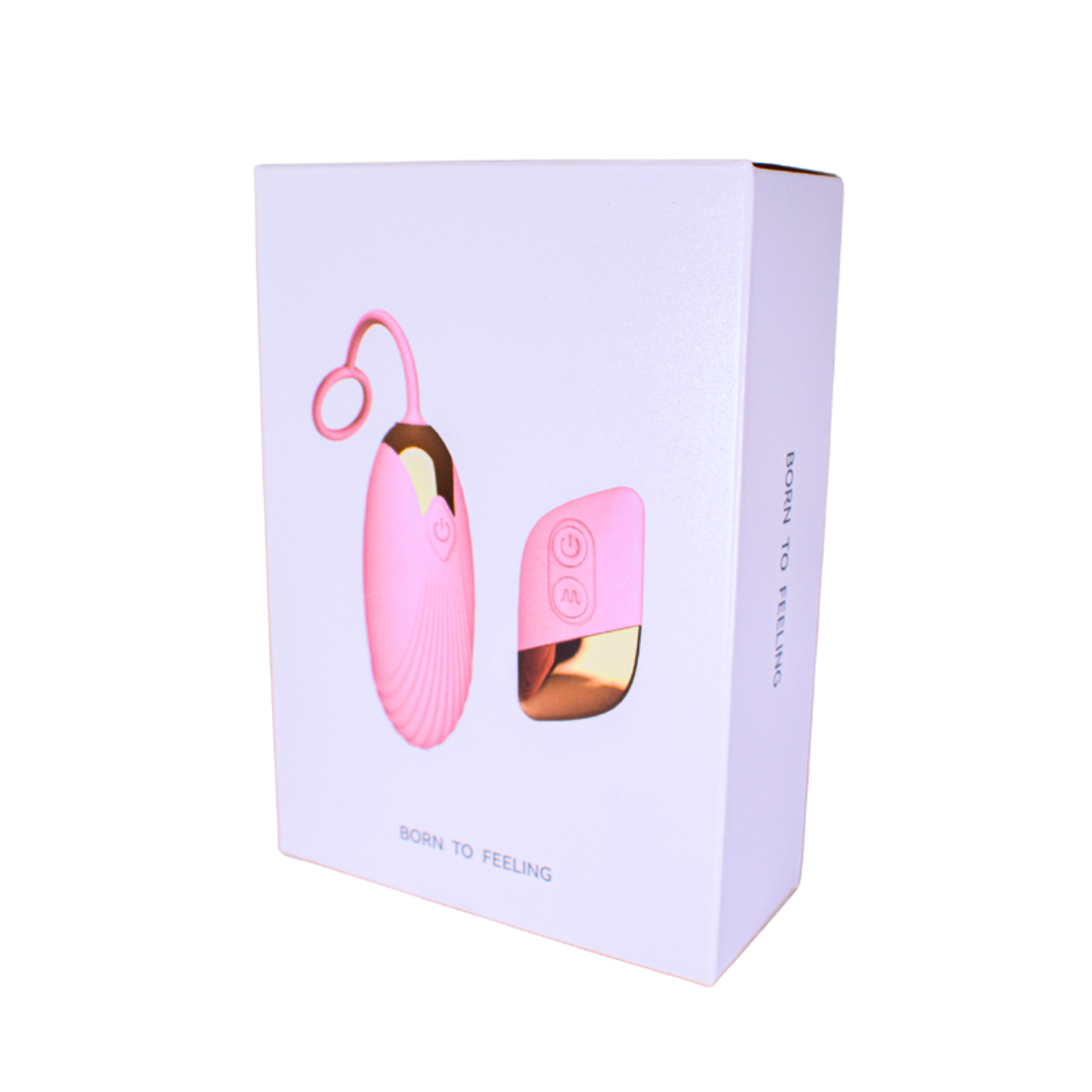 SG1793  HUEVO INALAMBRICO CONTROL