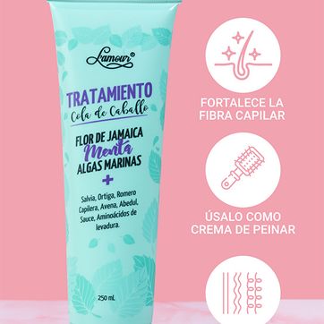 Tratamiento Cola de Caballo - imagen 1