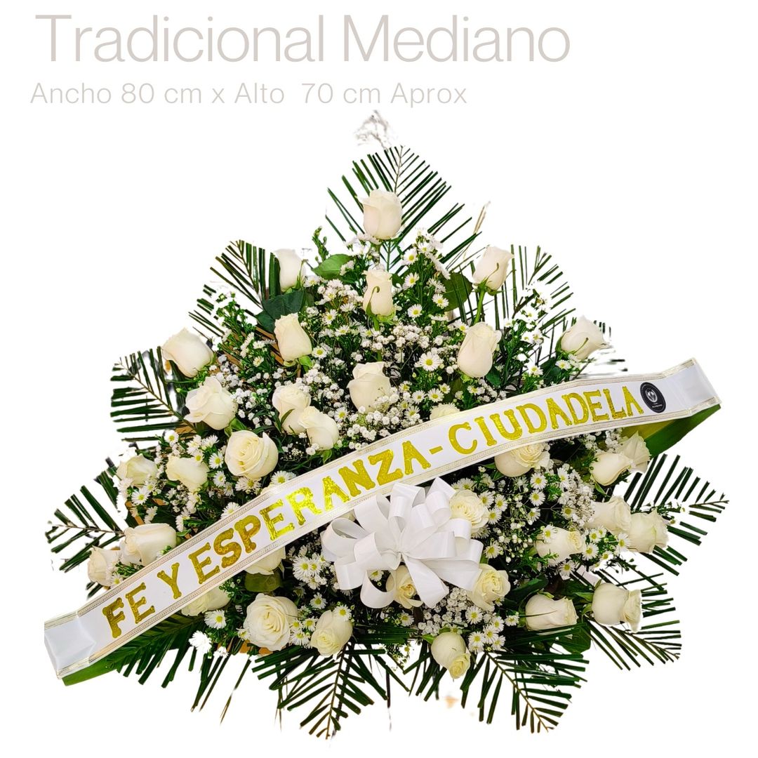 RAMO TRADICIONAL MEDIANO