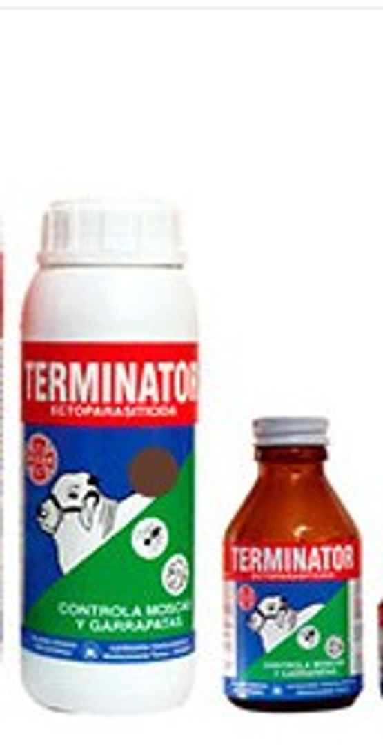 TERMINATOR