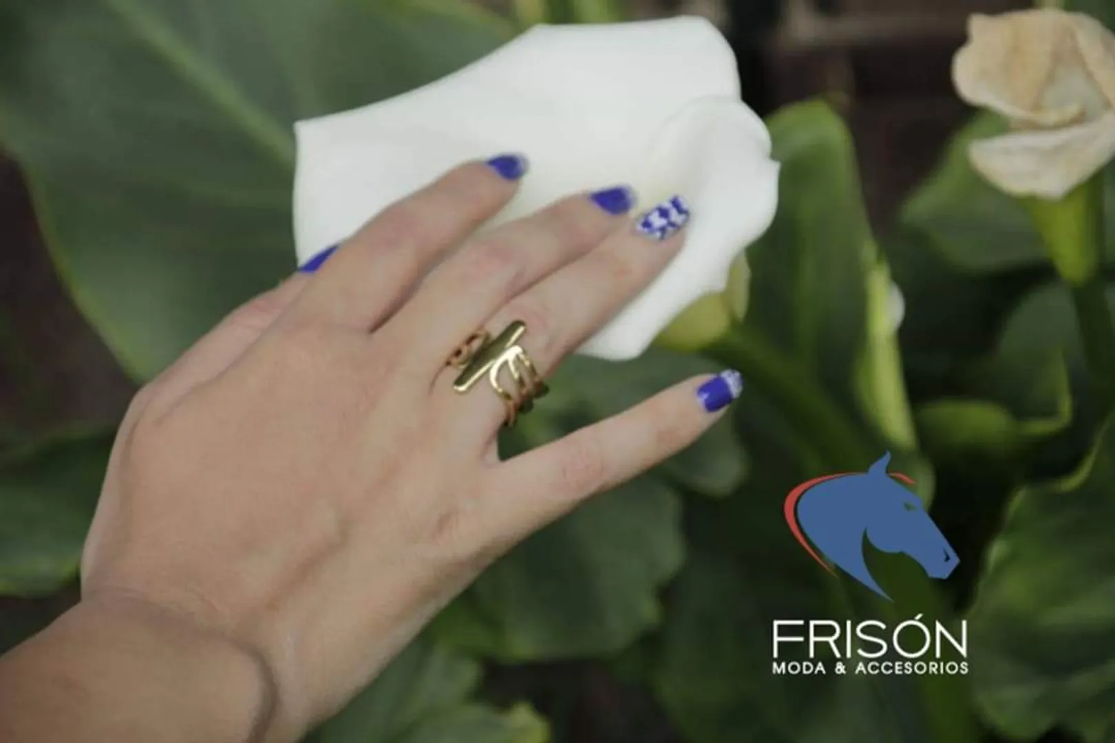 Anillo 