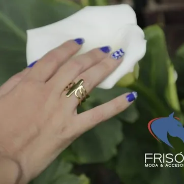 Imagen del producto Anillo 