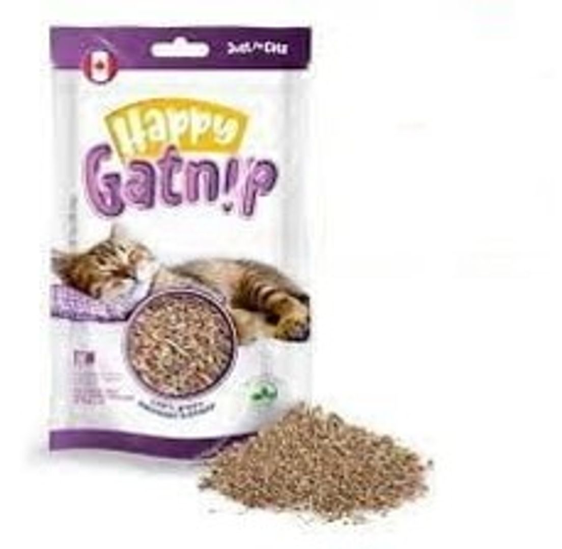 HIERBA PARA GATO HAPPY GATNIP 