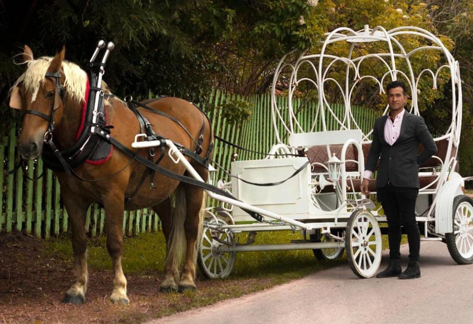 SESION FOTOGRAFICA CON CARRUAJE Y CABALLO EN NUESTRO  CRIADERO