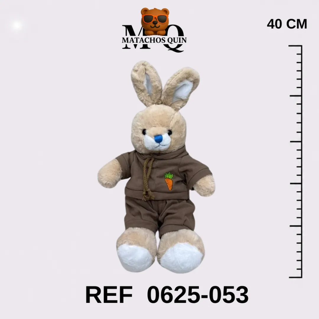 CONEJO Y OSO CON CONJUNTO DEPORTIVO