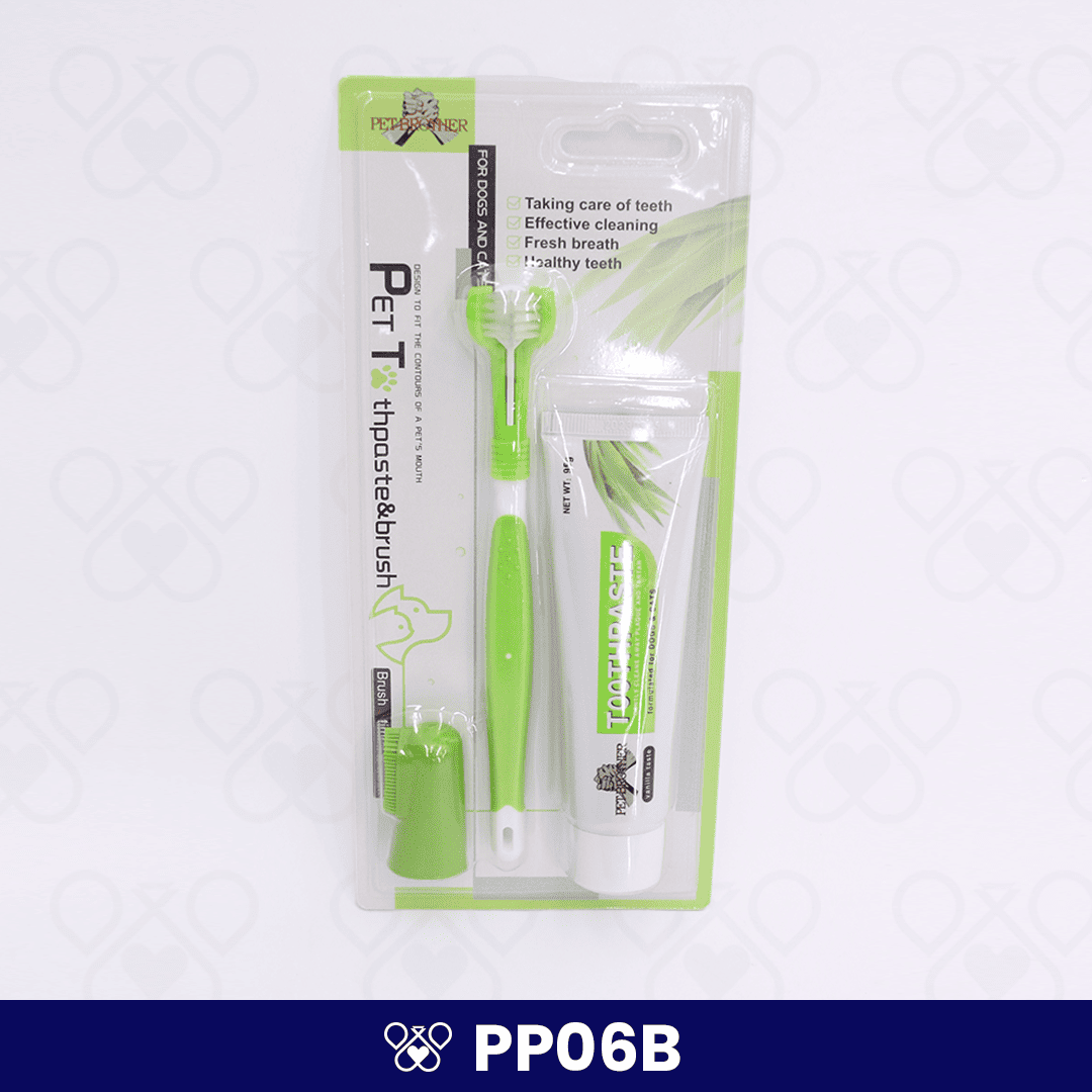 PP06B