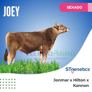 JOEY SEXADO - imagen 1