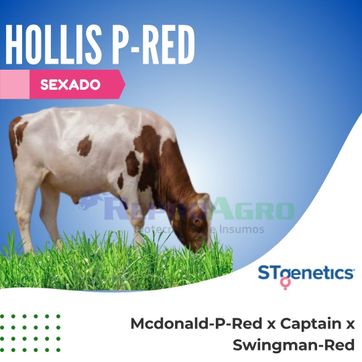 HOLLIS P-RED SEXADO - imagen 1