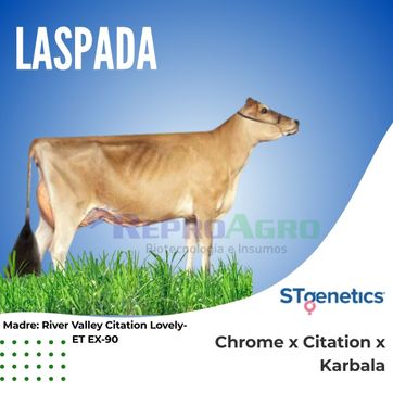 LASPADA - imagen 1