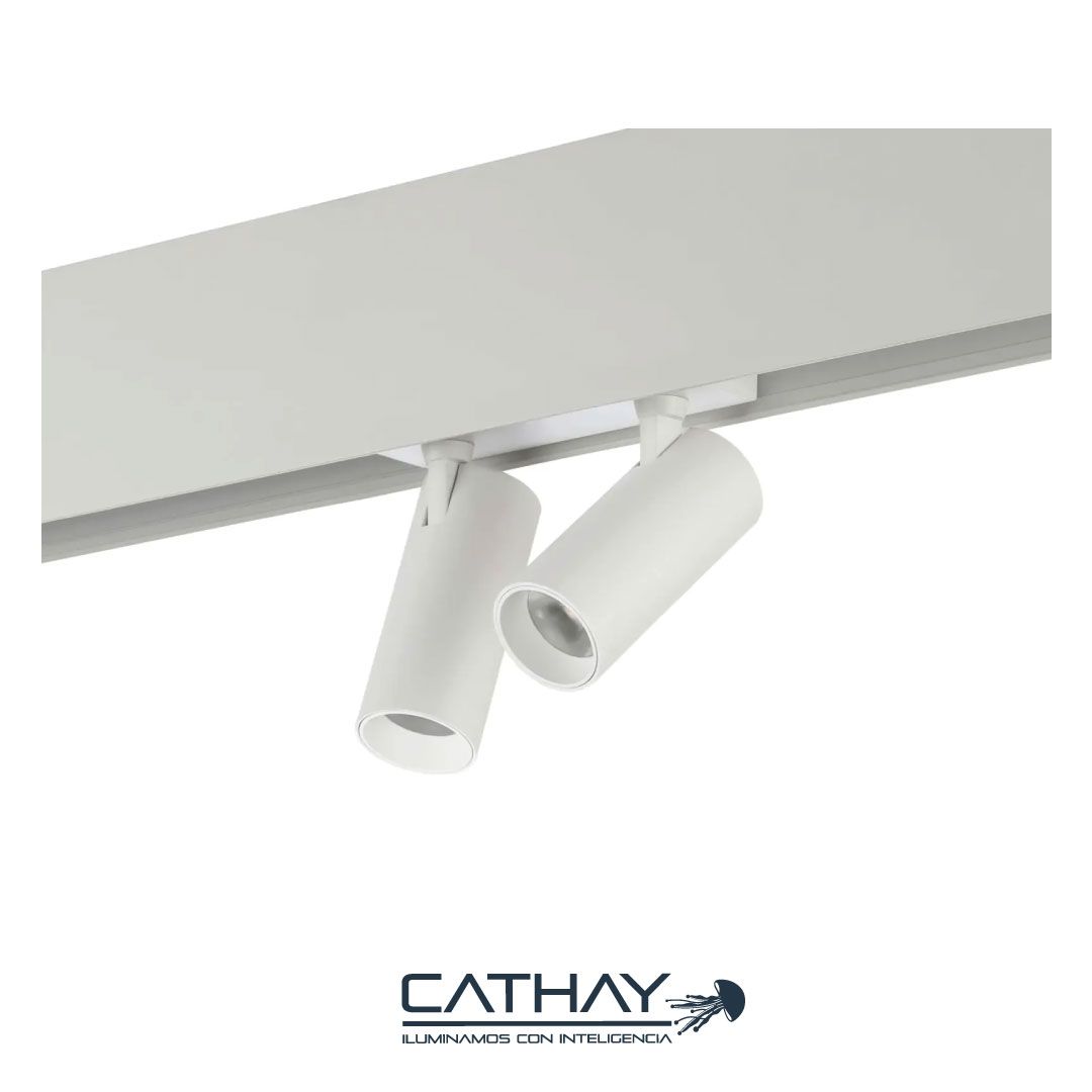 LUMINARIA LED TIPO CILINDRO DOBLE ECUALIZABLE