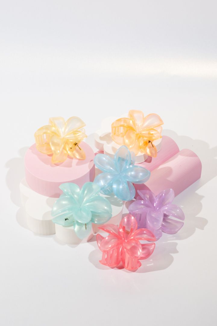 CAIMÁN TRASLÚCIDO COLORES