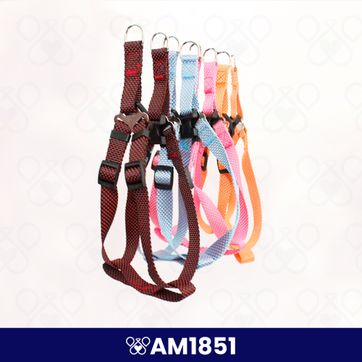 AM1851 - imagen 1