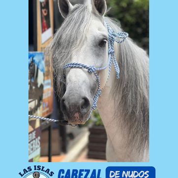 CABEZAL DE NUDOS - imagen 1