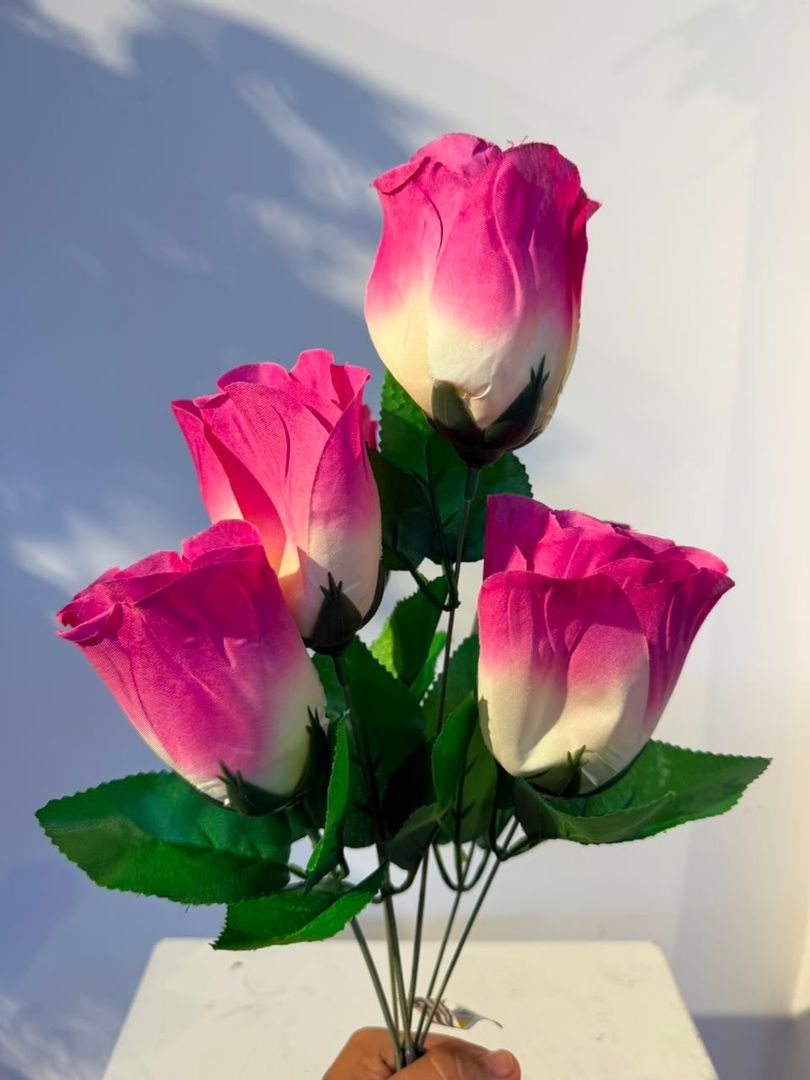 BOTON X 6 FUCSIA