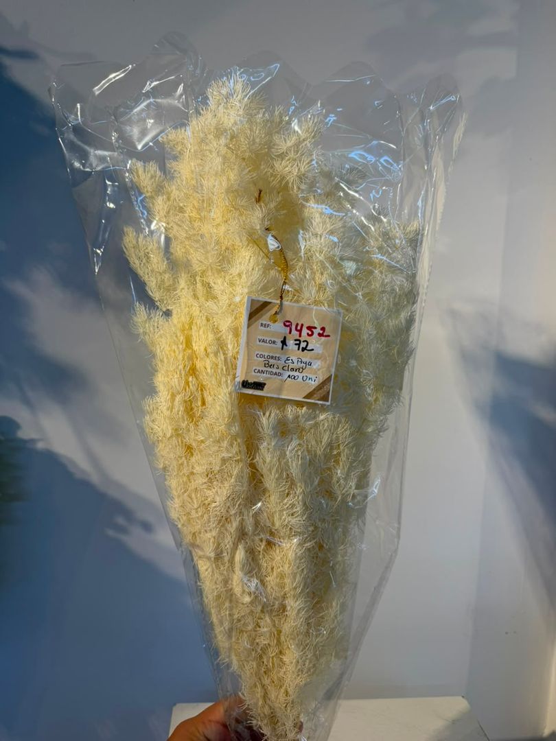 ESPIGA CORAL BLANCO INMORTALIZADO