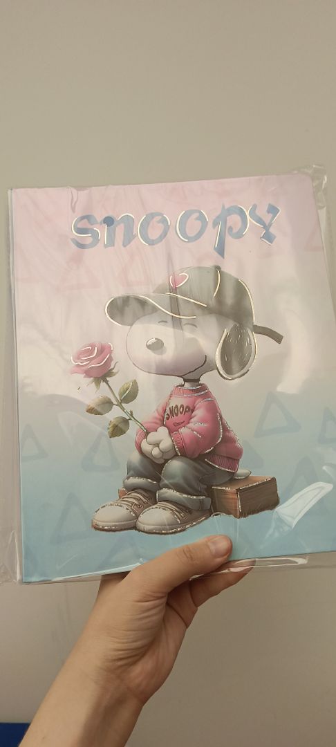 Folder snoppy