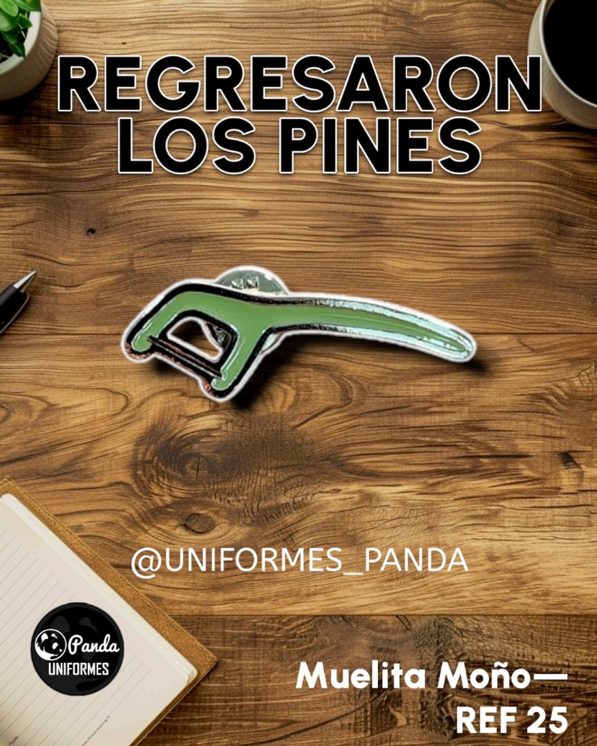  PIN MUELITA