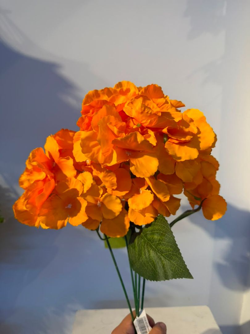 HORTENCIA X 5 NARANJA
