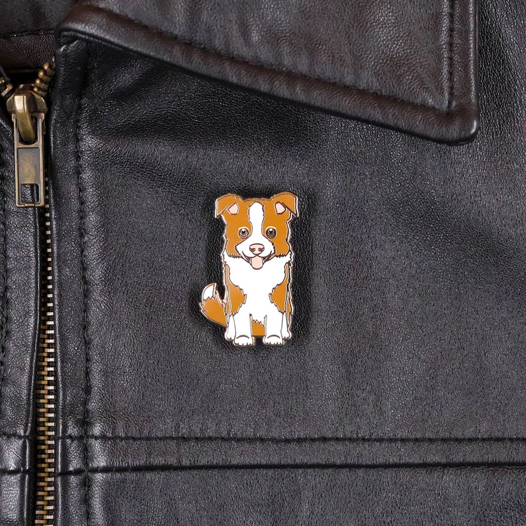 PIN BORDER COLLIE MARRÓN