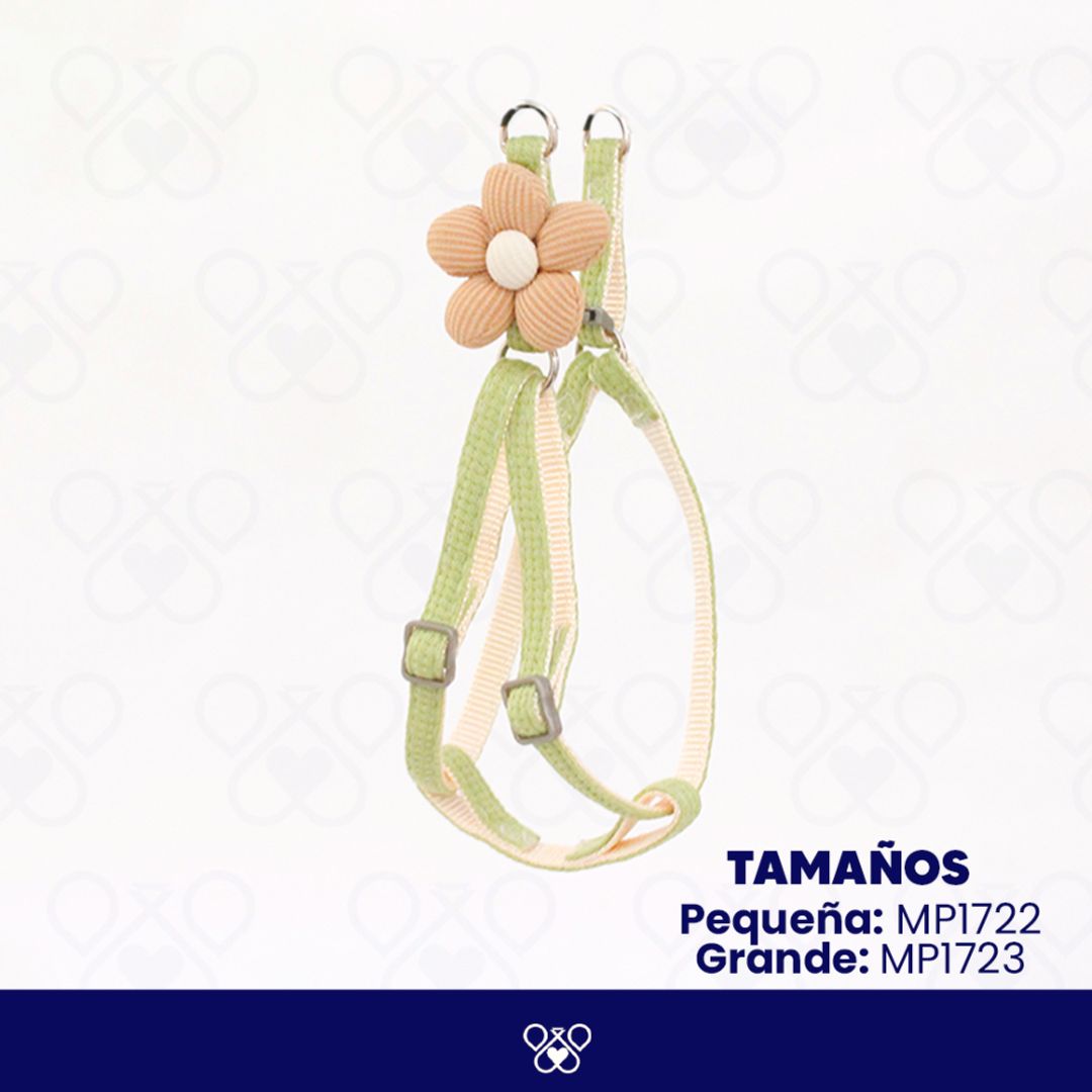 MP172-
