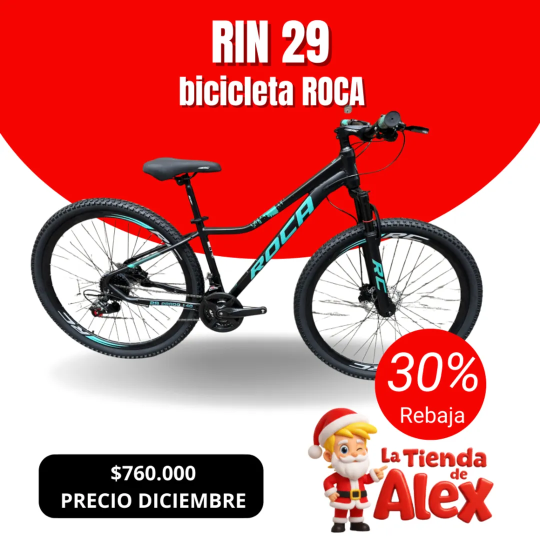 RIN 29 ROCA