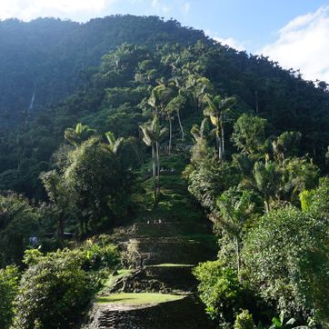 CIUDAD PERDIDA 4 DIAS - imagen 3