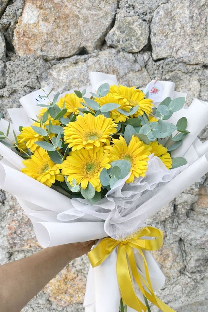 GERBERAS X12 AMARILLAS
