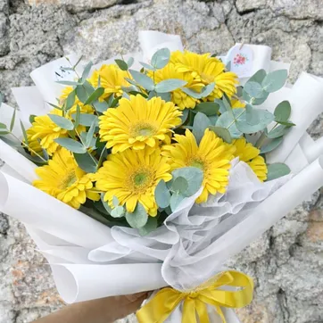 Imagen del producto GERBERAS X12 AMARILLAS