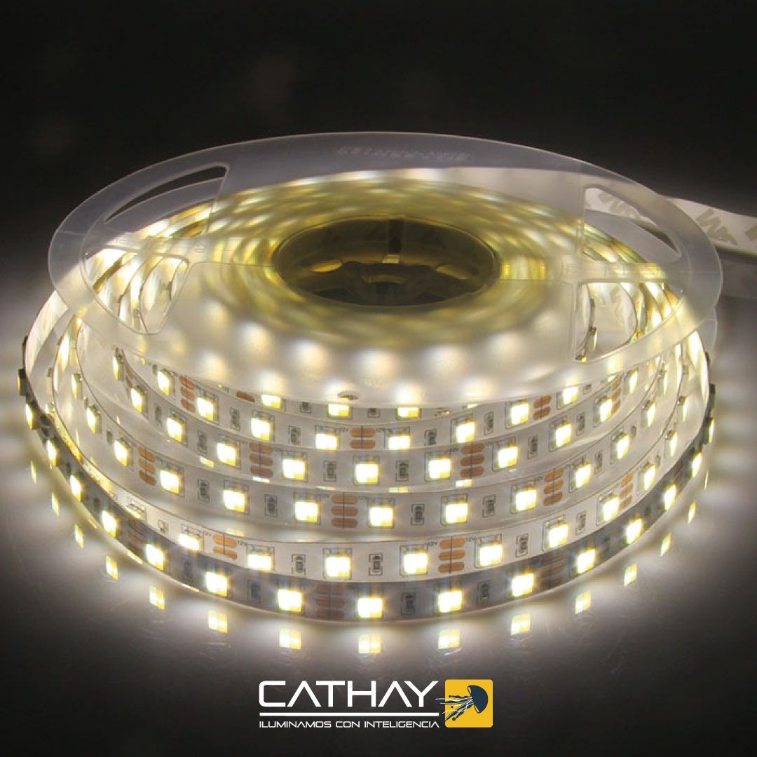 CINTA LED DUAL WW/W 24V/14W