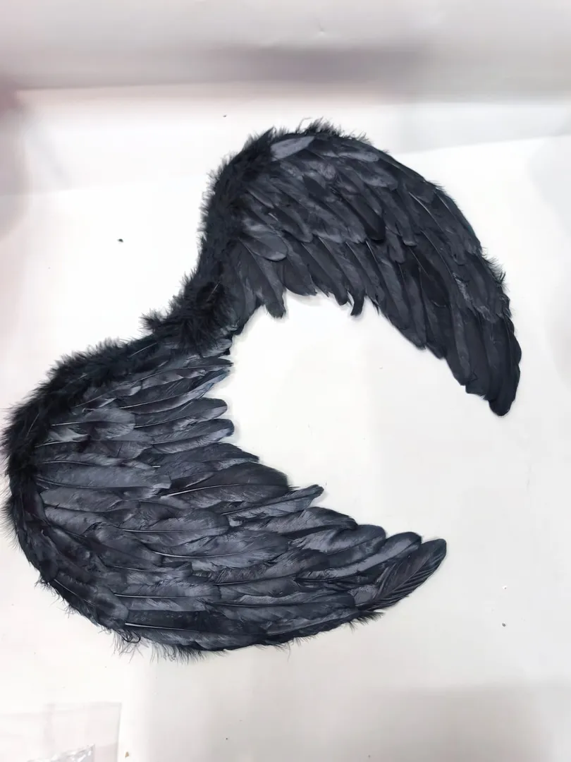 ALAS DE ANGEL CON PLUMAS 