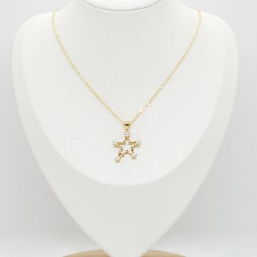 Imagen del producto COLLAR ESTRELLA RODINADO