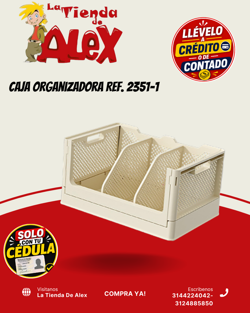 Caja Organizadora Ref. 2351-1