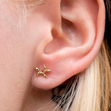 A Balloon Dog - imagen 2