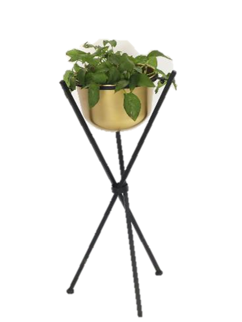 Macetero dorado y negro