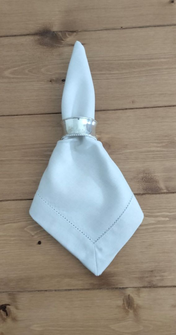 SERVILLETAS DE LINO -  HABANO