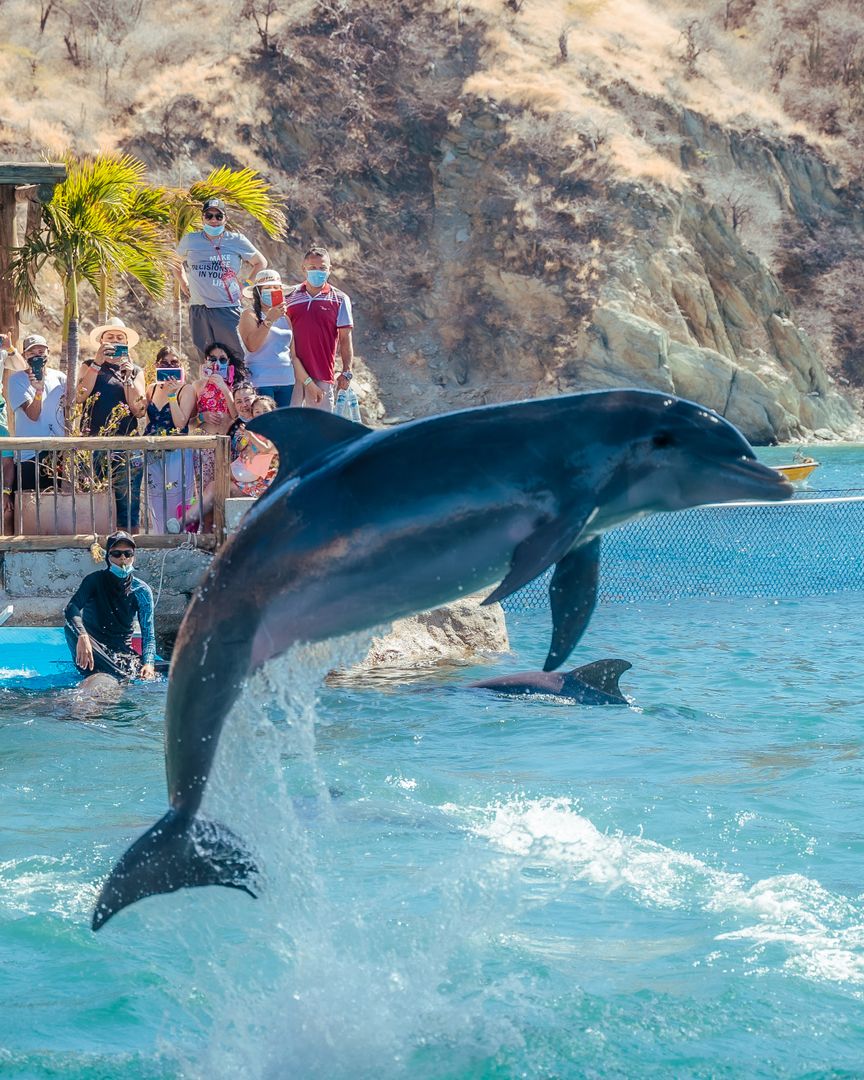 ACUARIO Y PLAYA BLANCA 