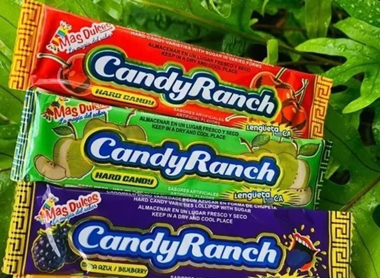 CANDY RANCH