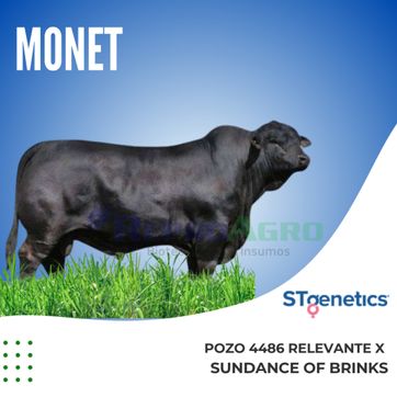 MONET - imagen 1