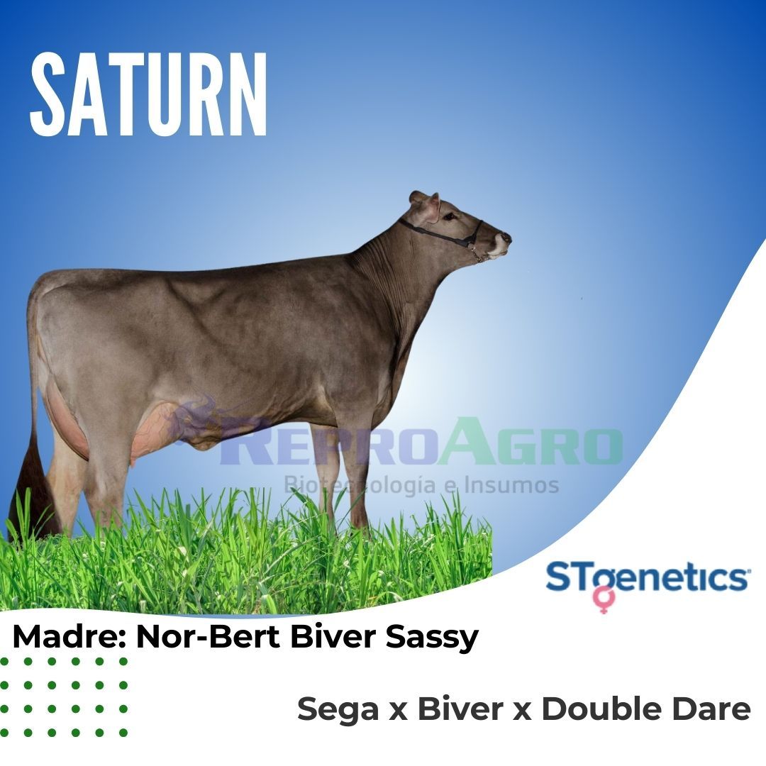 SATURN