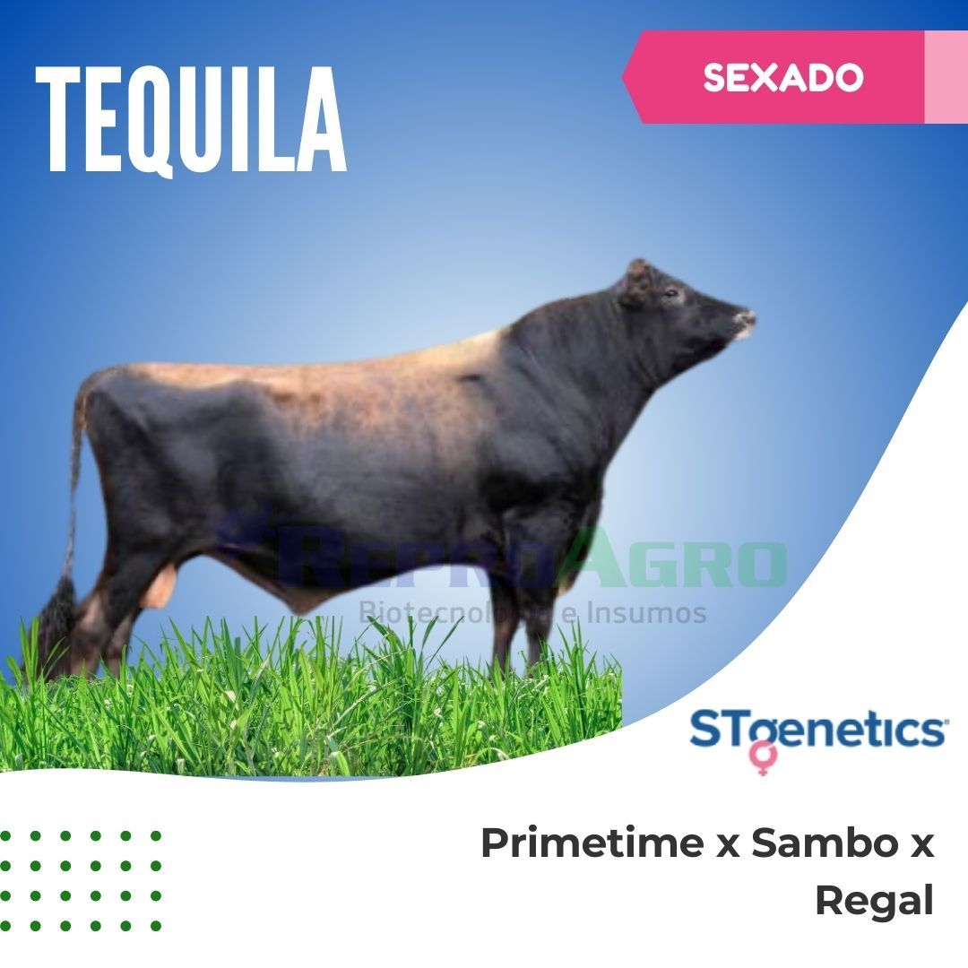 TEQUILA SEXADO